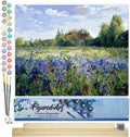 Paint by Numbers Kit for Adults Countryside Field and Blue Flowers