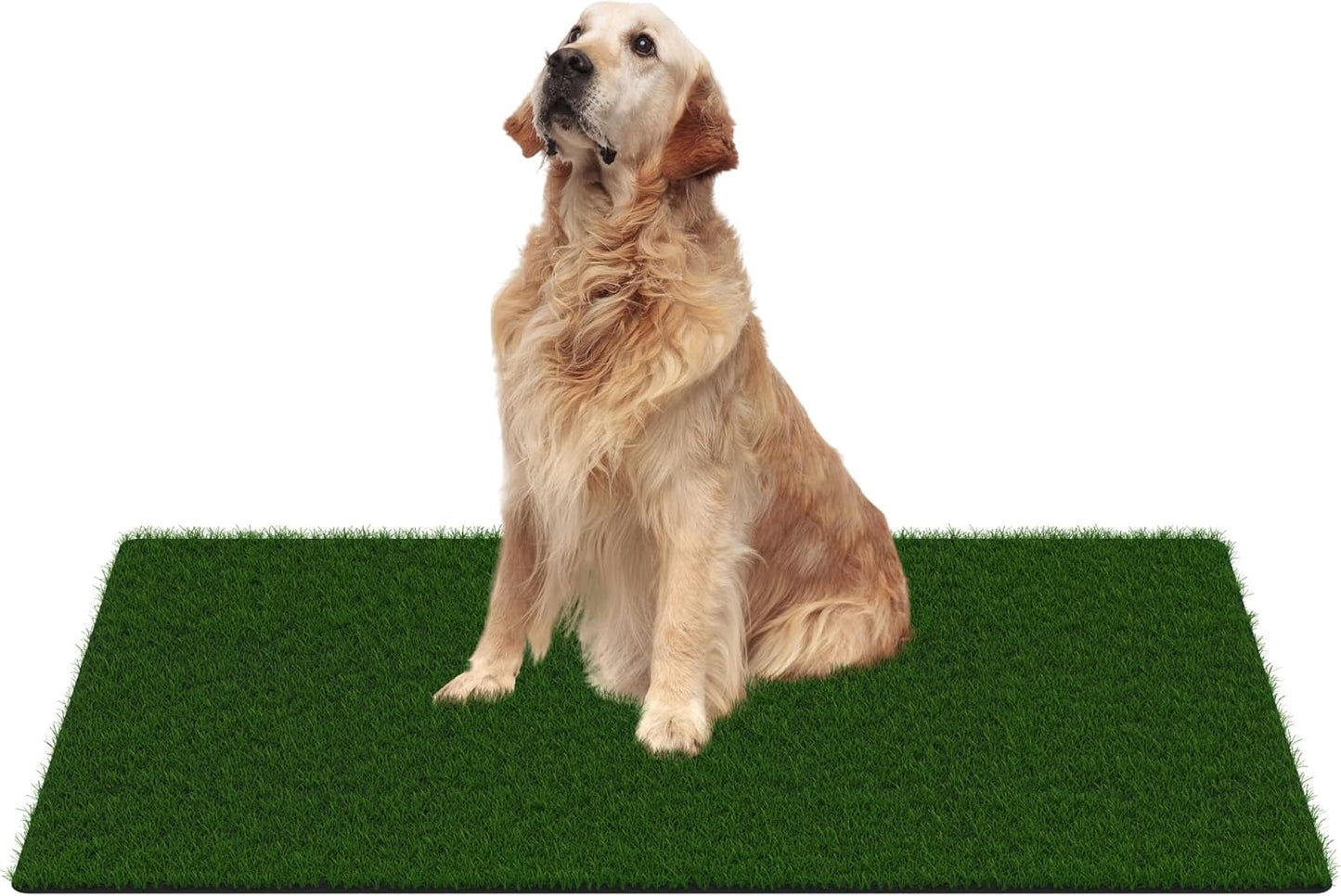 MAYSHINE Artificial Grass Door Mat for Indoor Outdoor Use