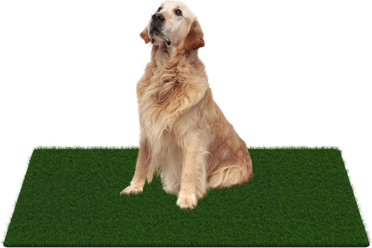 MAYSHINE Artificial Grass Door Mat for Indoor Outdoor Use