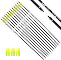 30Inch Carbon Arrow Practice Hunting Arrows for Bows - Pack of 12