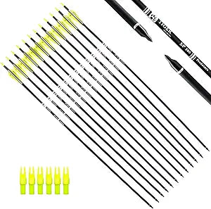 30Inch Carbon Arrow Practice Hunting Arrows for Bows - Pack of 12