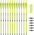 Crossbow Bolts 20in Fluorescence Color Carbon Arrows - Visible