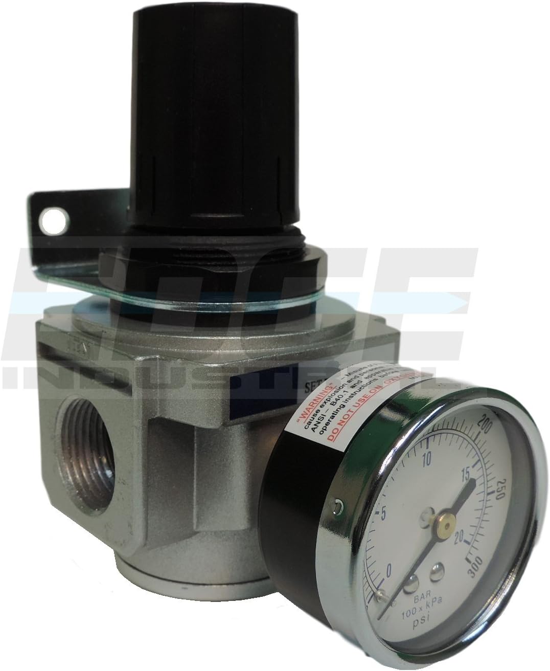 Heavy Duty Compressed Air Pressure Regulator 7 to 215 PSI