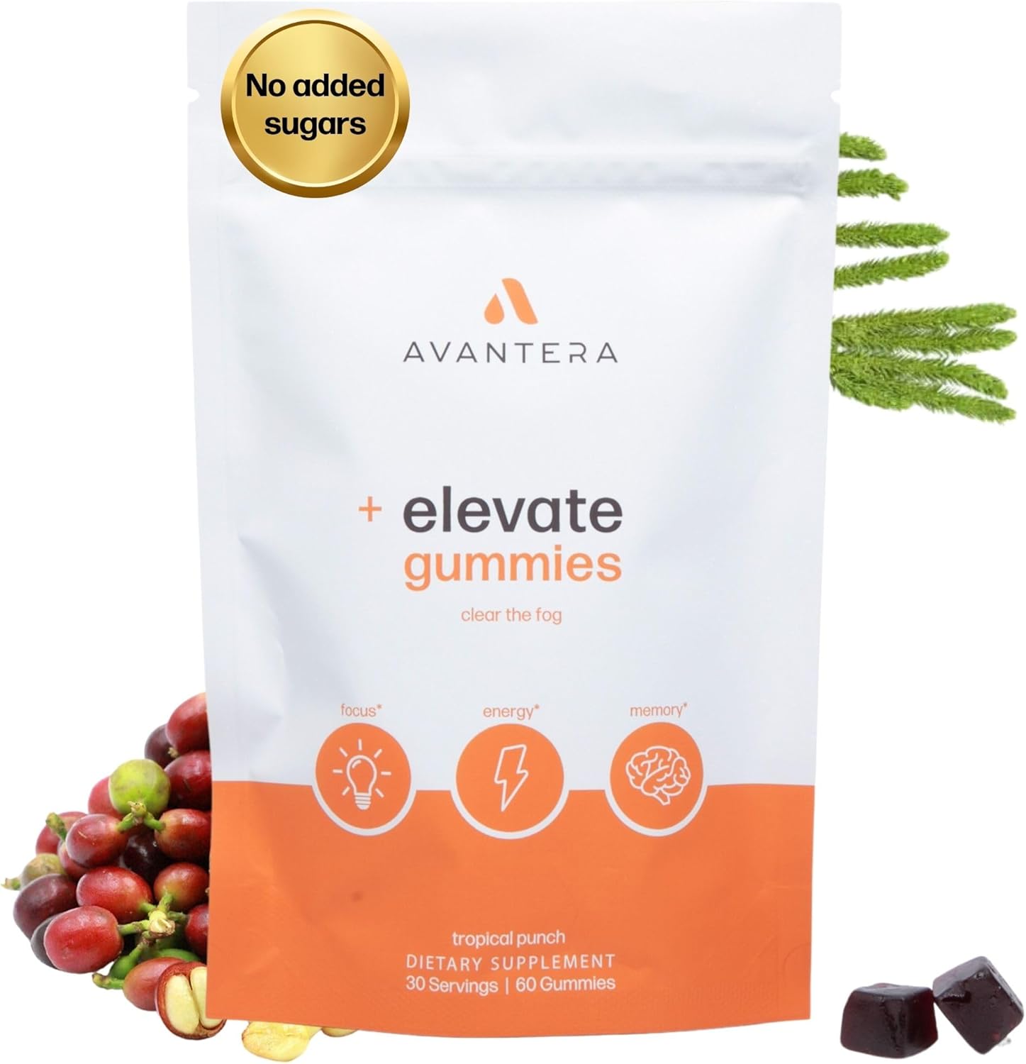Elevate Gummies Nootropic Supplement for Focus and Memory Support