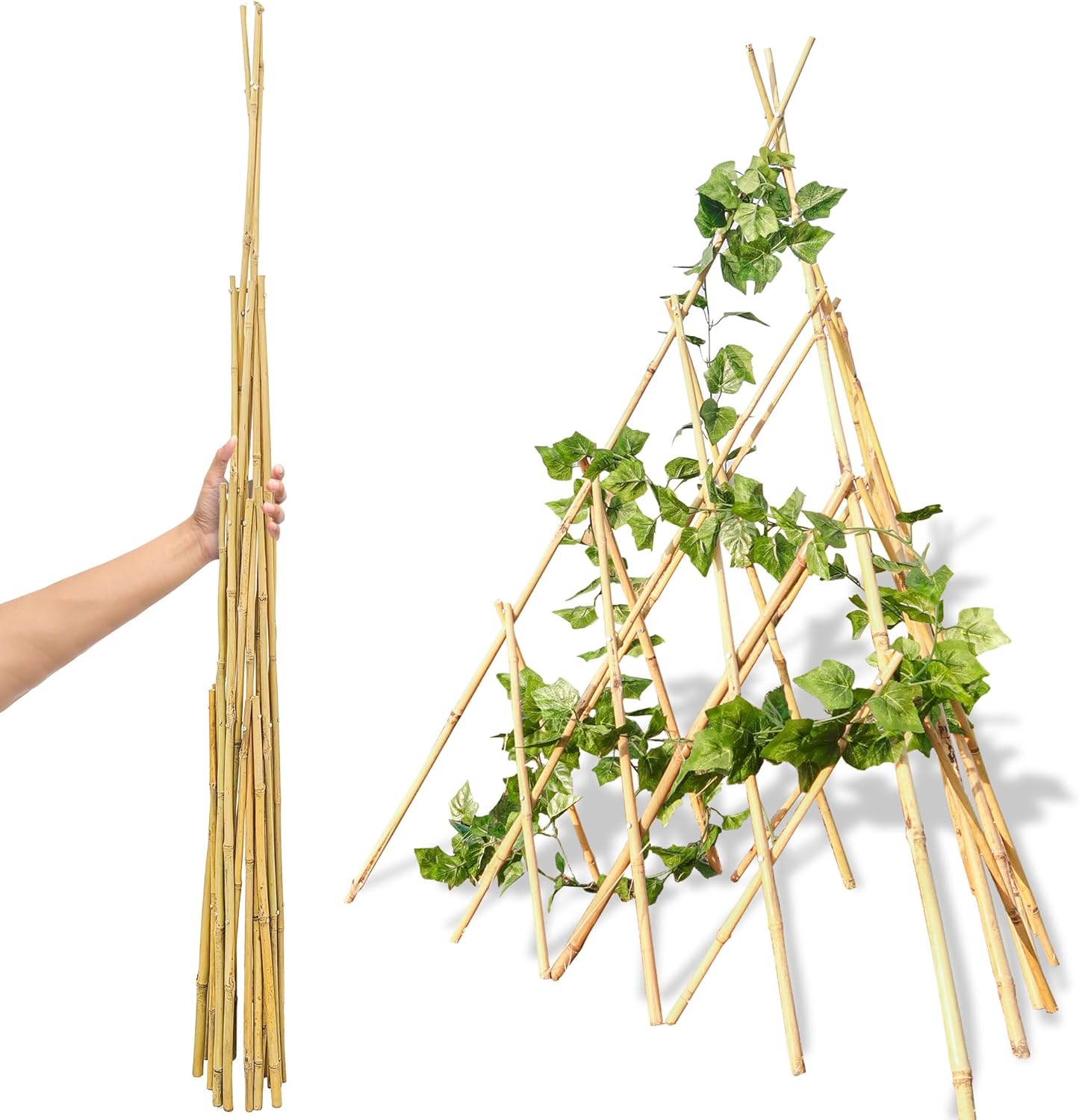 6ft Expandable Bamboo Teepee Trellis for Climbing Plants