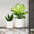 ARNIS Plants Pots with Stand Set of 2 - Mid Century Metal Planters