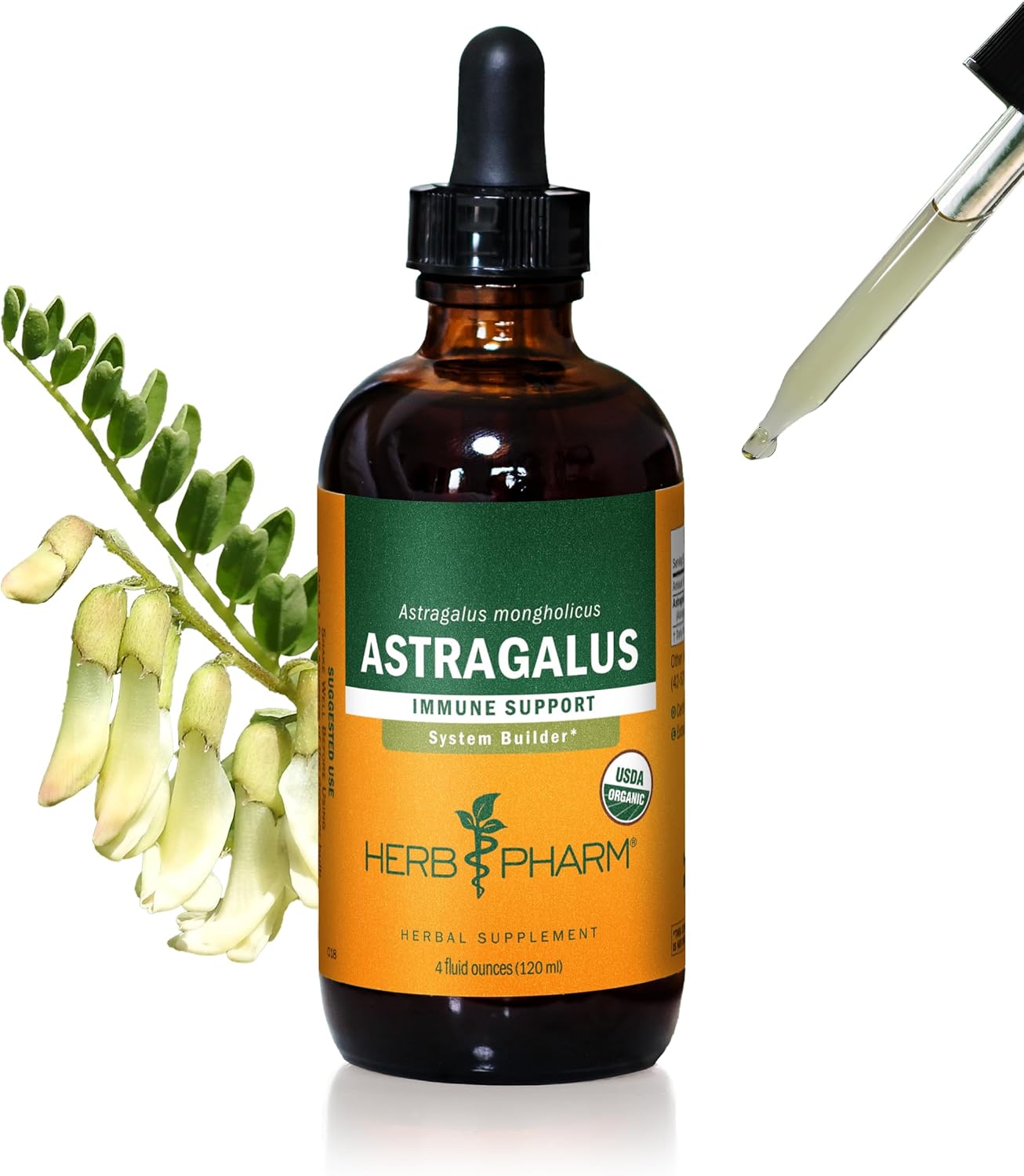 Organic Astragalus Liquid Extract for Immune System Support