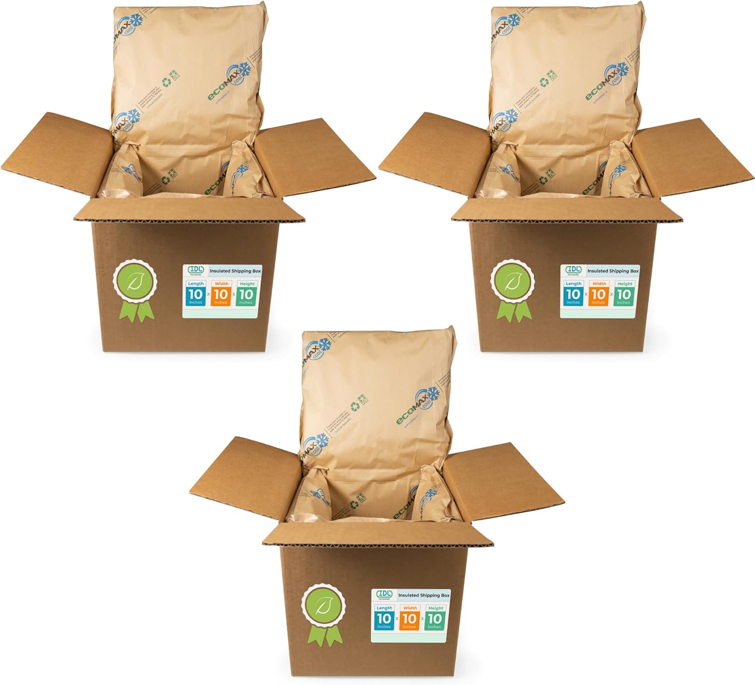 Insulated Shipping Box 10x10x10 for Frozen Food and Meat