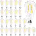 Edison Bulbs Dimmable E26 60W Equivalent - Clear Vintage ST58