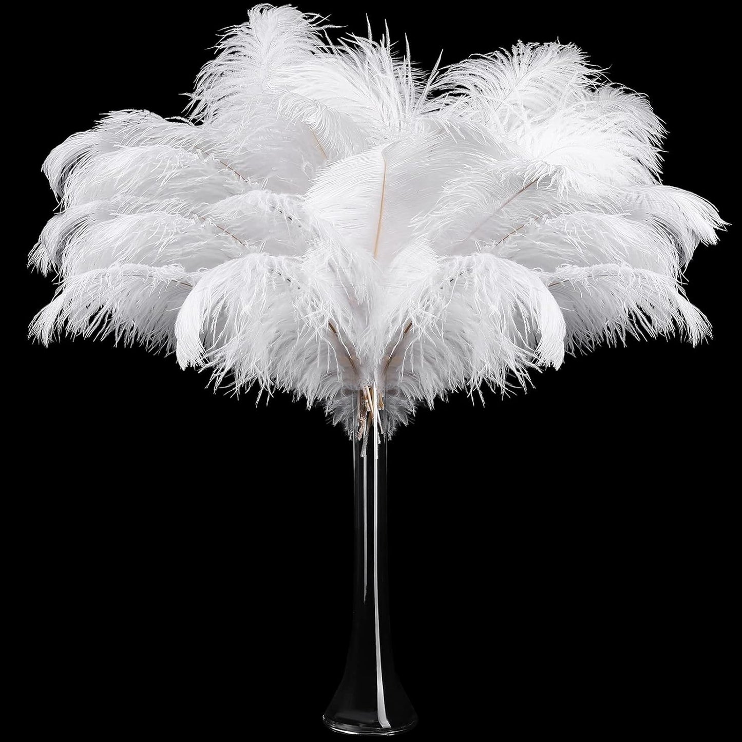 Retrowavy 50 Pcs Large Natural Ostrich Feathers for Decor
