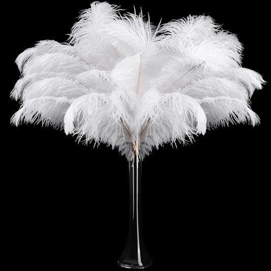 Retrowavy 50 Pcs Large Natural Ostrich Feathers for Decor