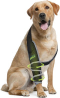 Dog Elbow Pads for Calluses and Shoulder Support - Front Leg Brace