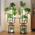 Indoor Plant Stands with Grow Light 2-Pack 6 Tier Tall Corner Shelf