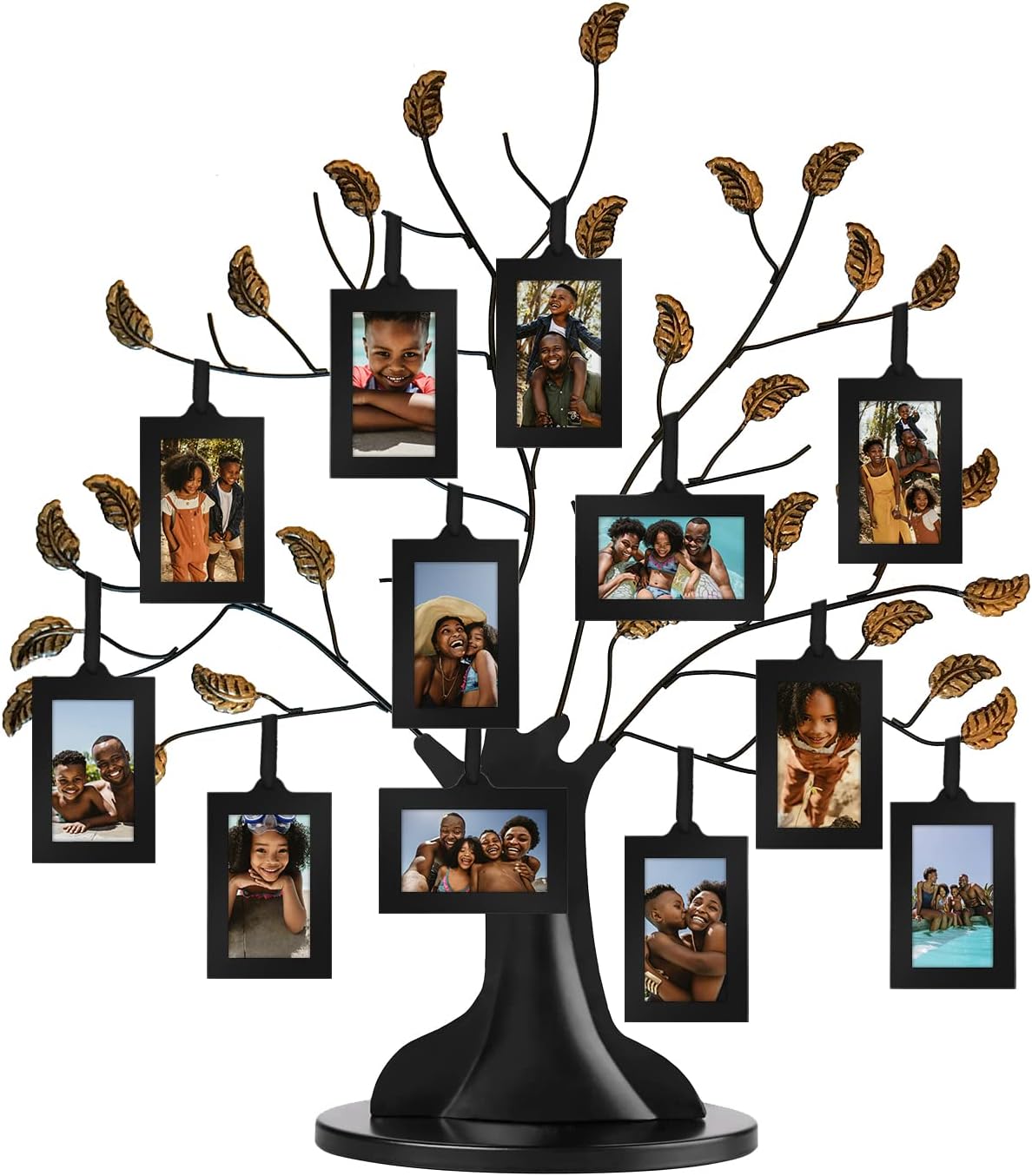 Family Tree Picture Frame with 12 Hanging Frames - Black and Bronze