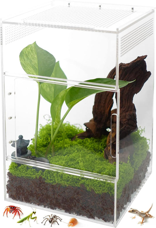 Jumping Spider Enclosure - Ideal Habitat for Small Creatures