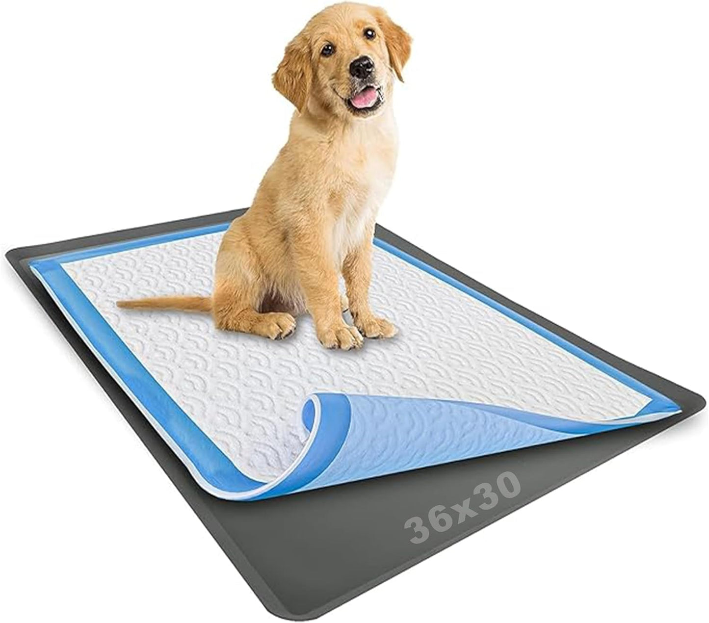 Skywin Dog Pee Pad Holder Tray for Easy Potty Training