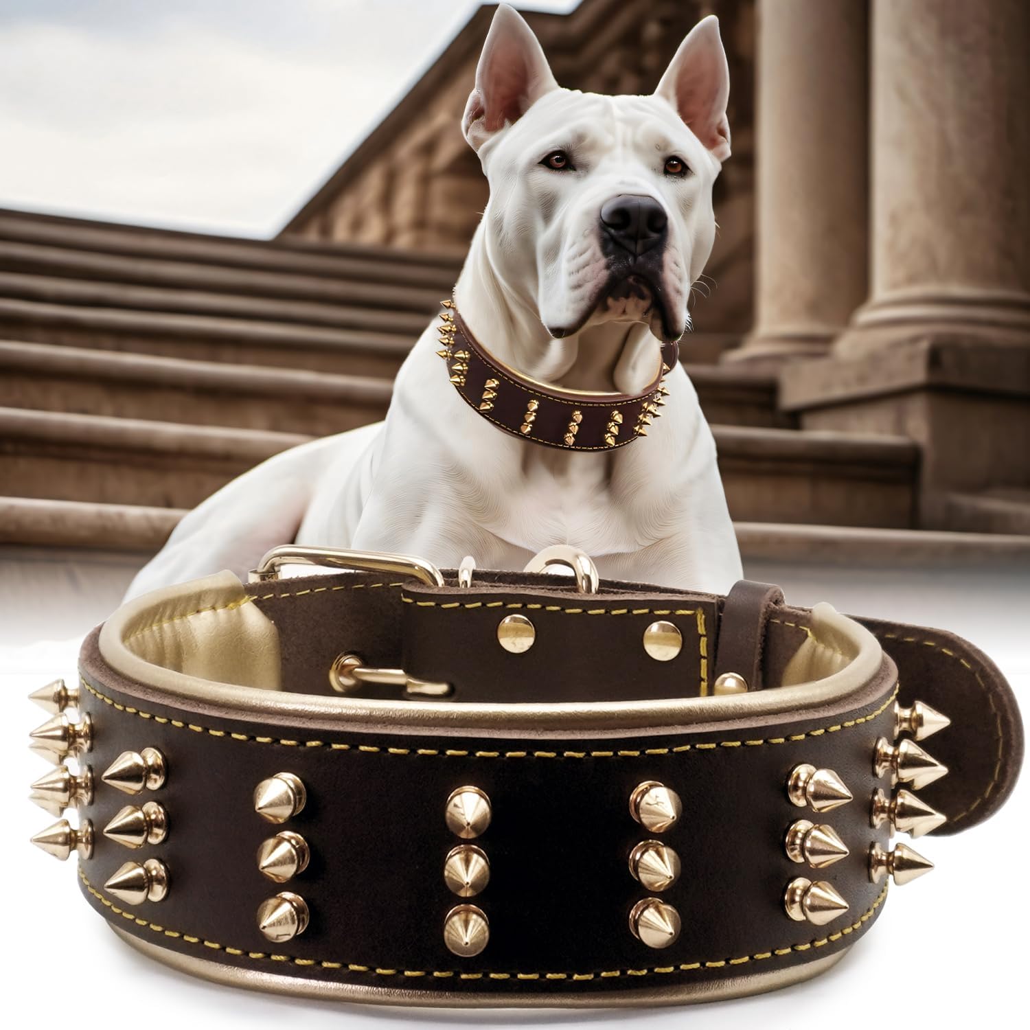 Spiked Leather Dog Collar for Powerful Breeds - Bold Design