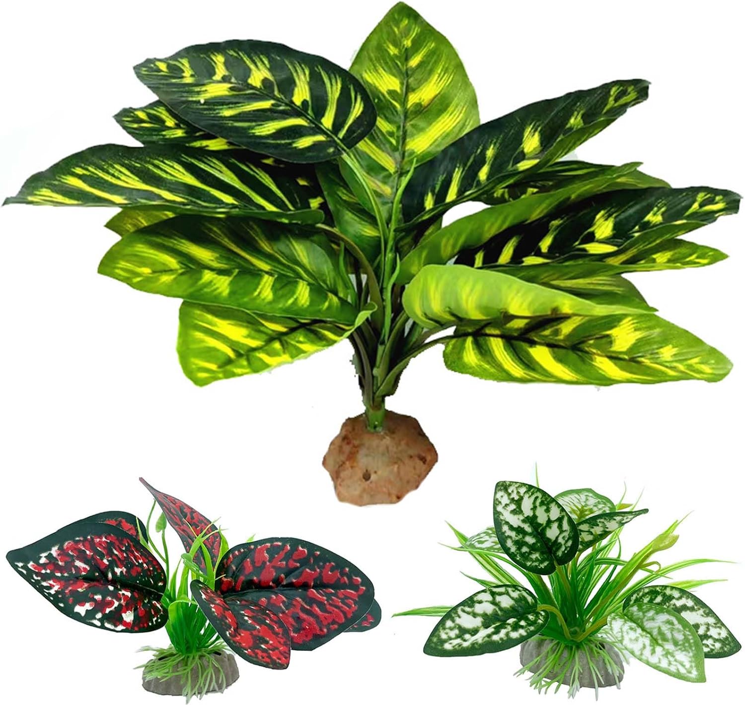 Vibrant Reptile Plant Trio for Stylish Habitat