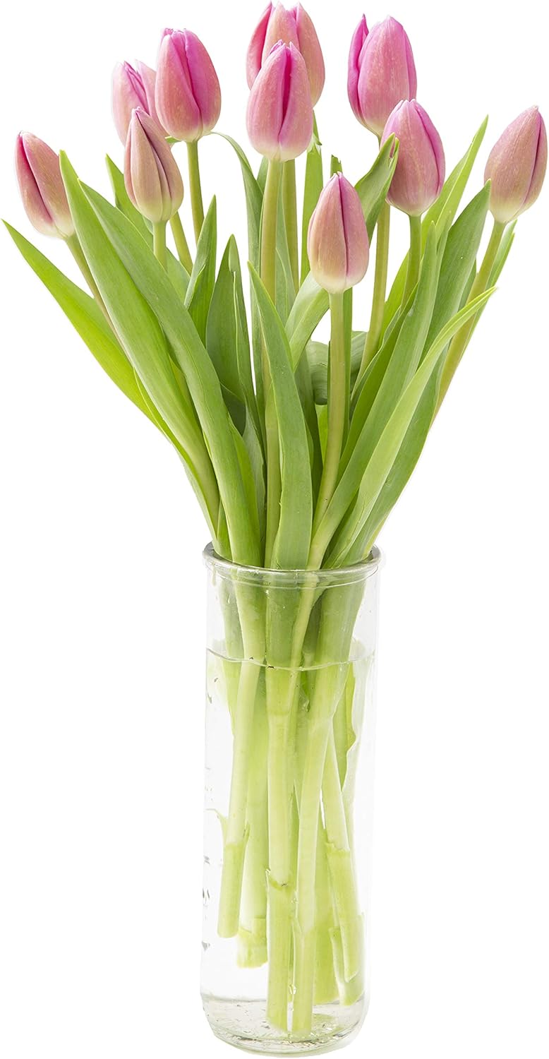 Fresh Pink Tulips Bouquet with Vase for Every Occasion