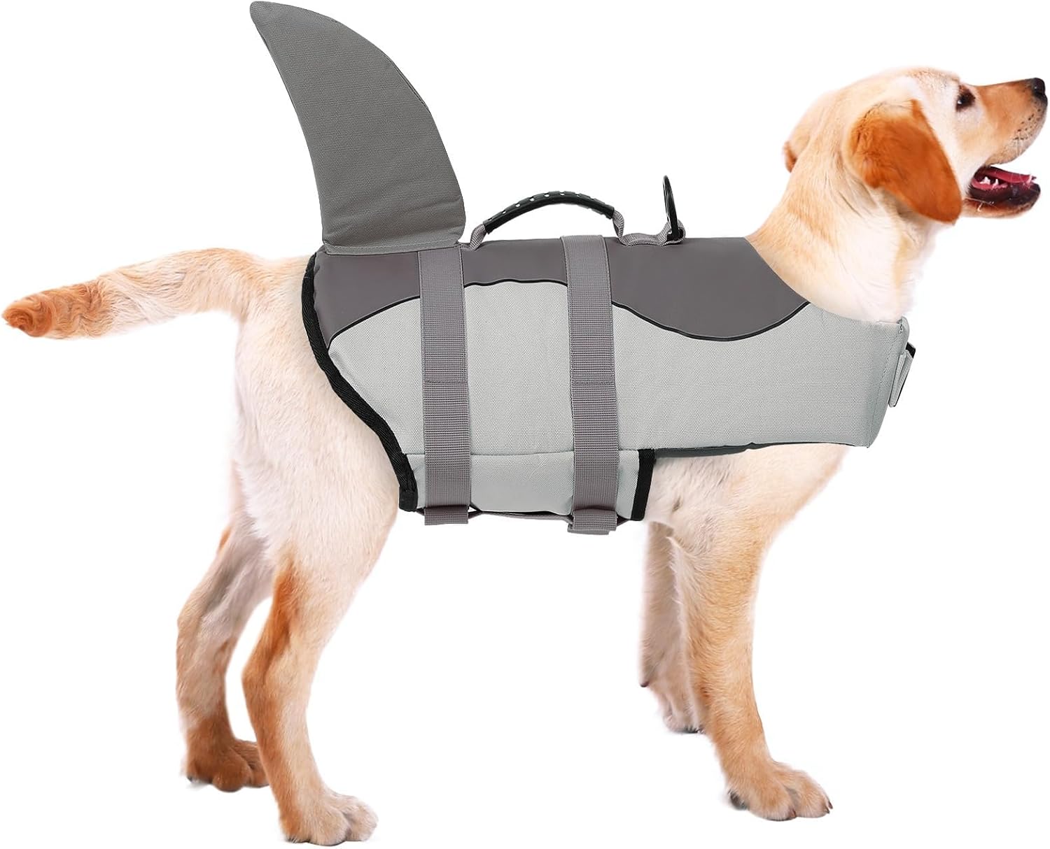 ASENKU Dog Life Jacket - Perfect Safety Vest for Swimming Fun