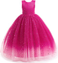 Flower Girls Tulle Dress Bridesmaid Sparkle - Princess Party Dress (No