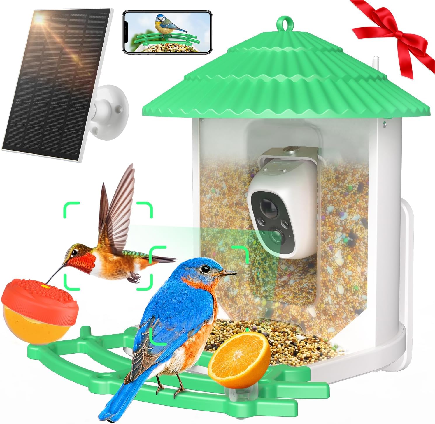 AI Bird Feeder: 2K Video, Night Vision, Solar Powered!