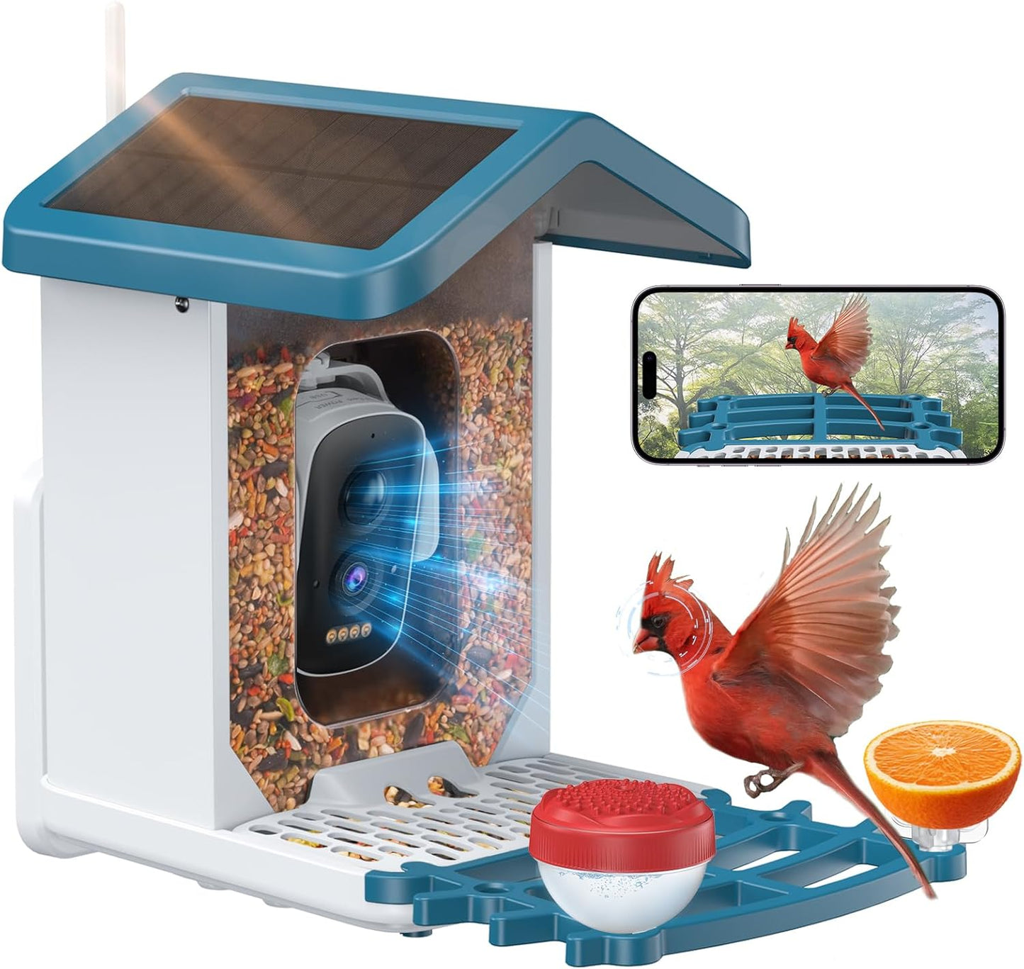 Solar Bird Feeder Camera with 4MP AI Identify