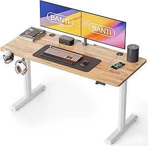 BANTI 55x24 Electric Height Adjustable Standing Desk for Home Office