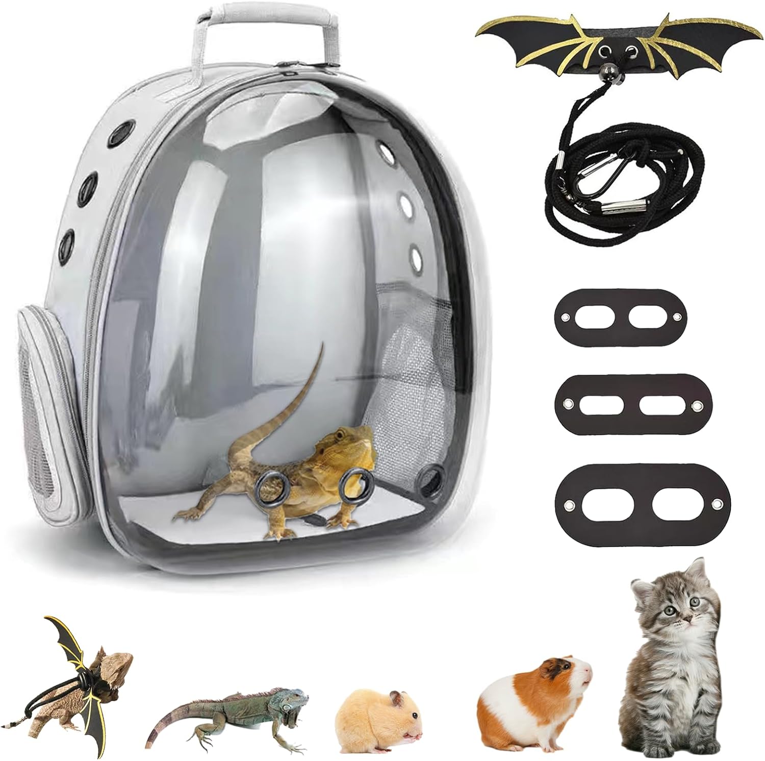 Bearded Dragon Carrier with Harness and Leash for Travel