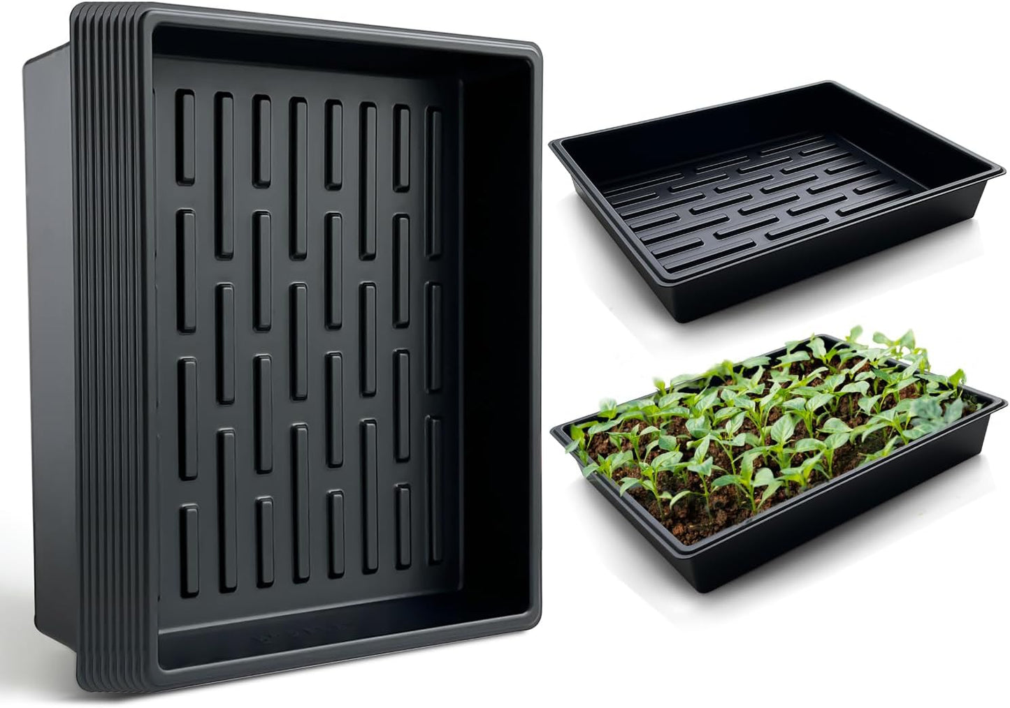 Seed Starter Tray Set of 10 for Indoor and Outdoor Planting