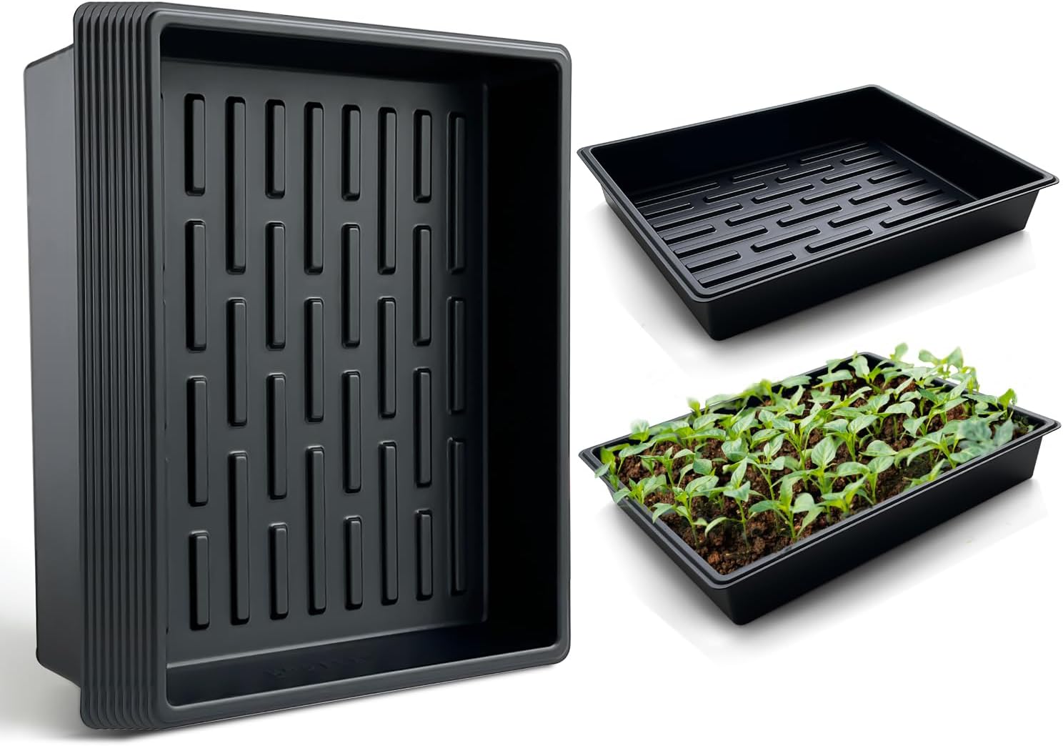 Seed Starter Tray Set of 10 for Indoor and Outdoor Planting