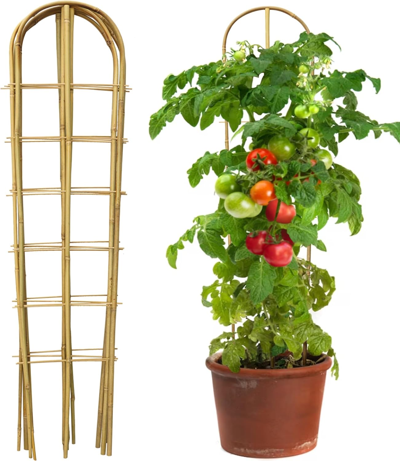 4 Feet U-Shape Bamboo Trellis for Climbing Plants and Vegetables