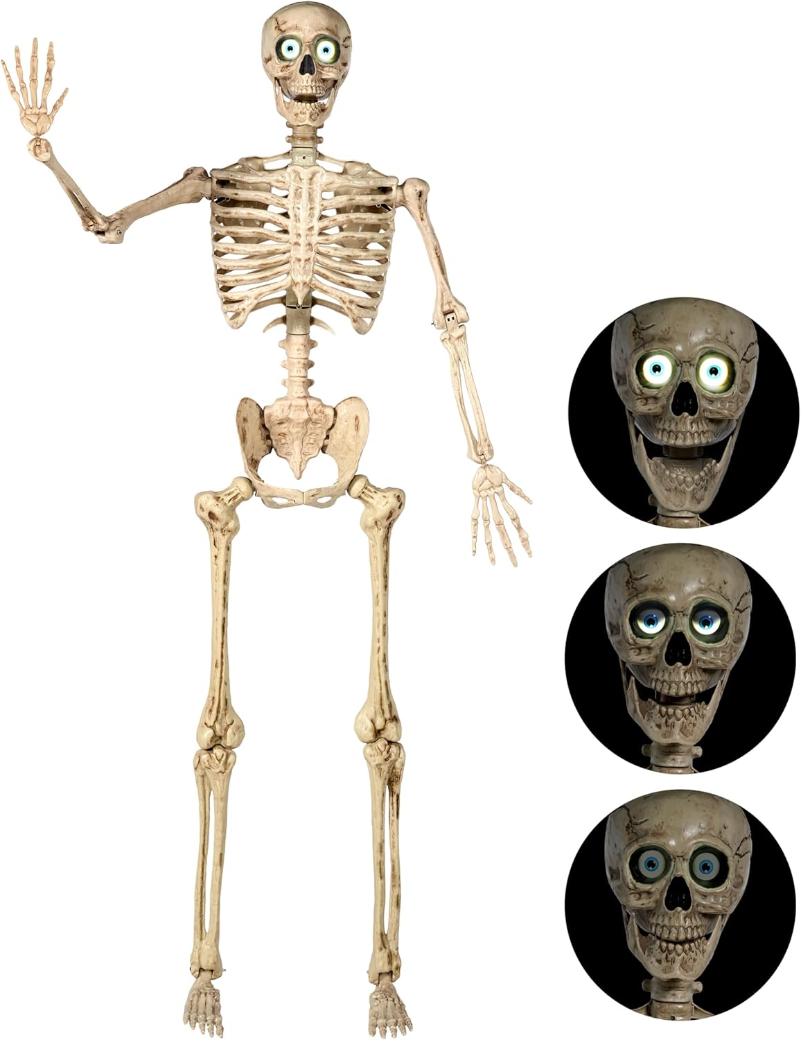 6.9 FT Halloween Posable Skeleton for Spooky Decor and Parties