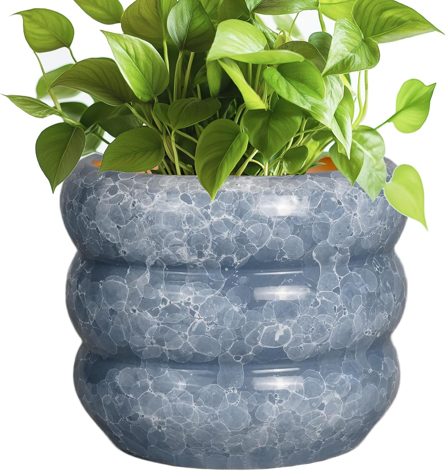 SQOWL 8 Inch Ceramic Planter with Drainage Hole for Indoor Use