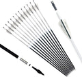 30in Carbon Arrow Pack of 12 - Fluorescent Practice and Hunting Arrows