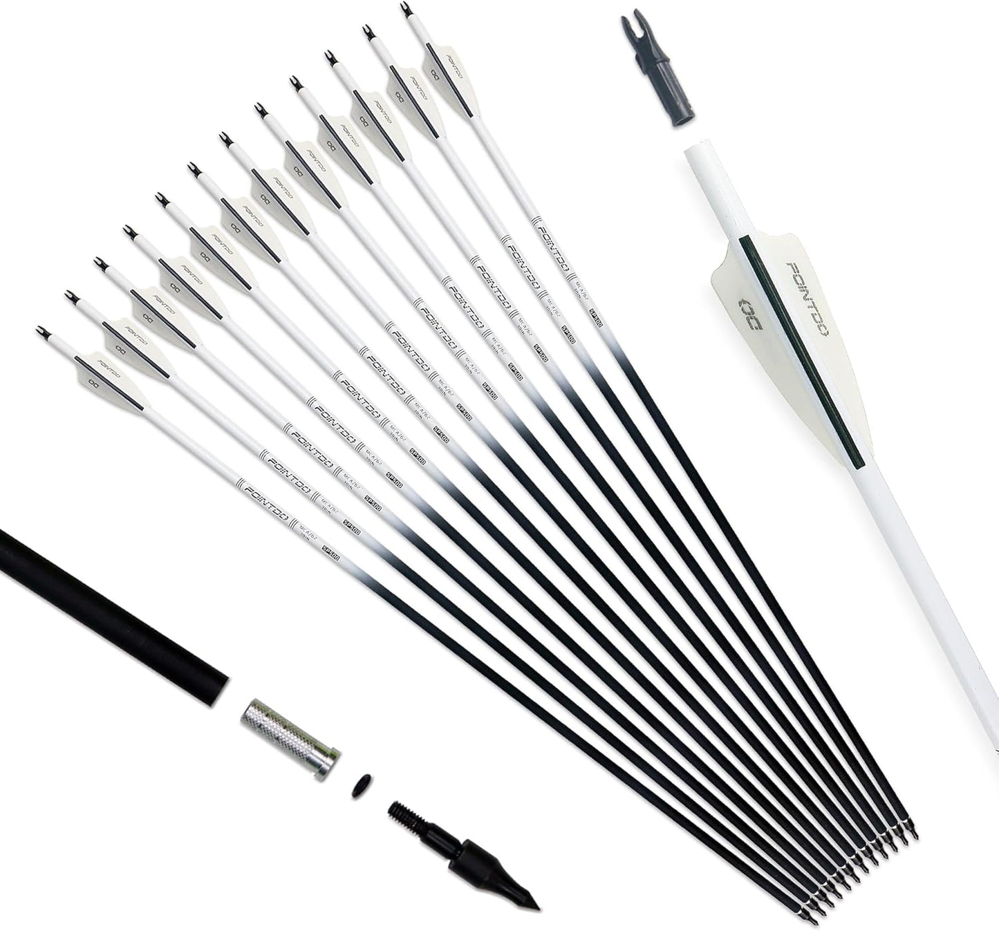 30inch Carbon Arrow Pack of 12 for Target Practice and Hunting