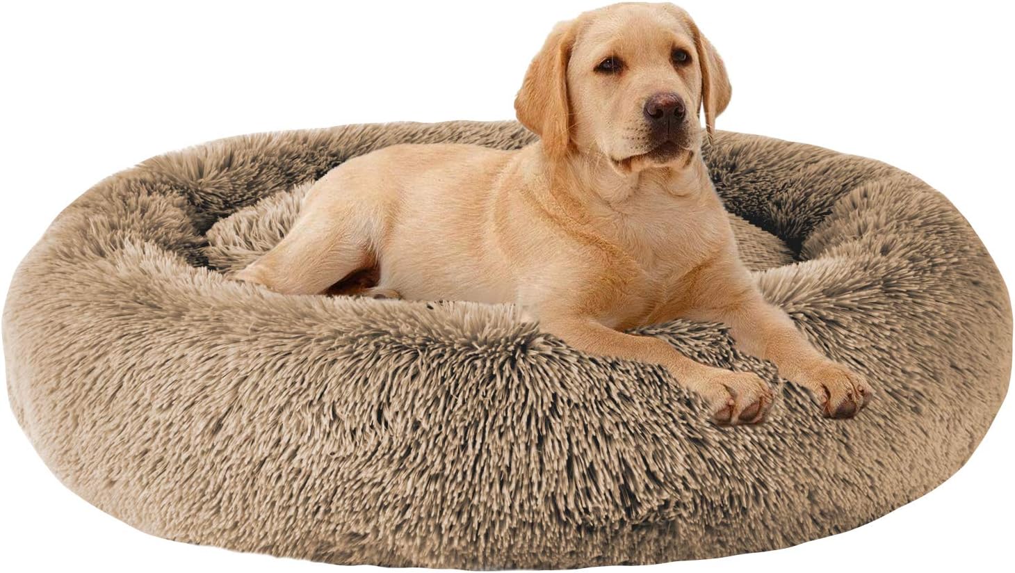 MFOX Calming Dog Bed for Medium and Large Dogs - Cozy Comfort