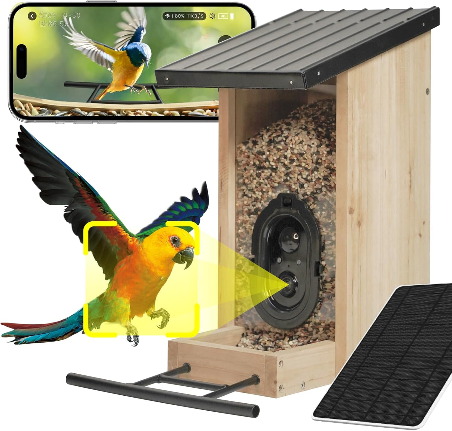 AI Bird Feeder: 10K Bird Species, Solar Powered