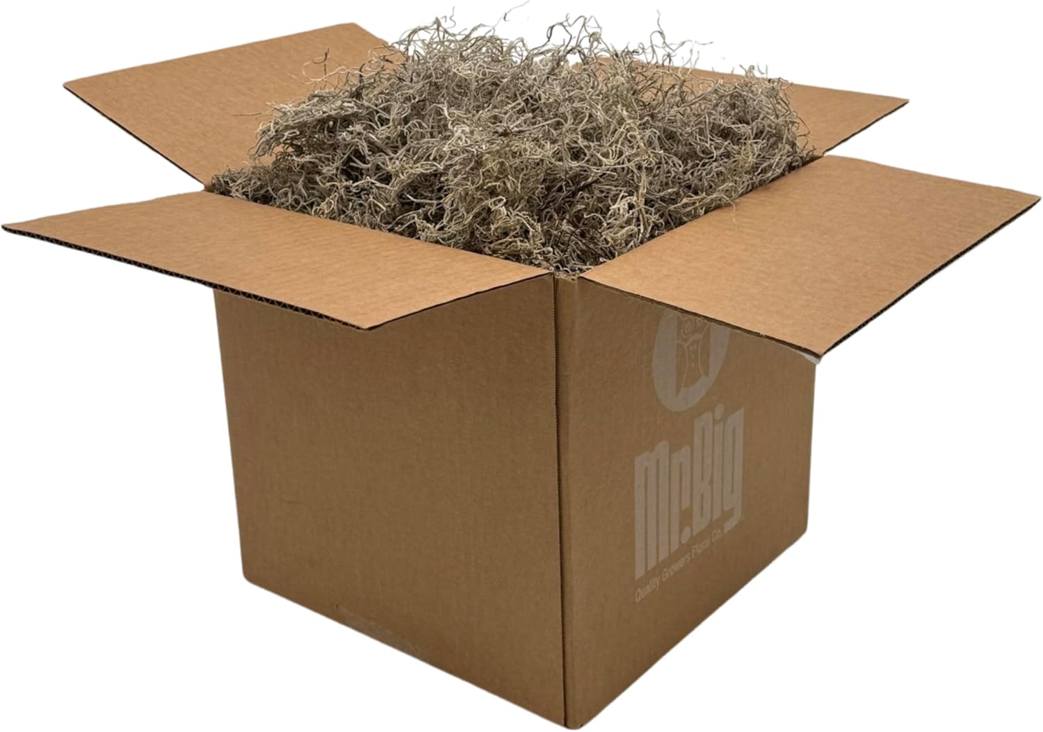 Preserved Spanish Moss for Crafts and Home Decor Projects