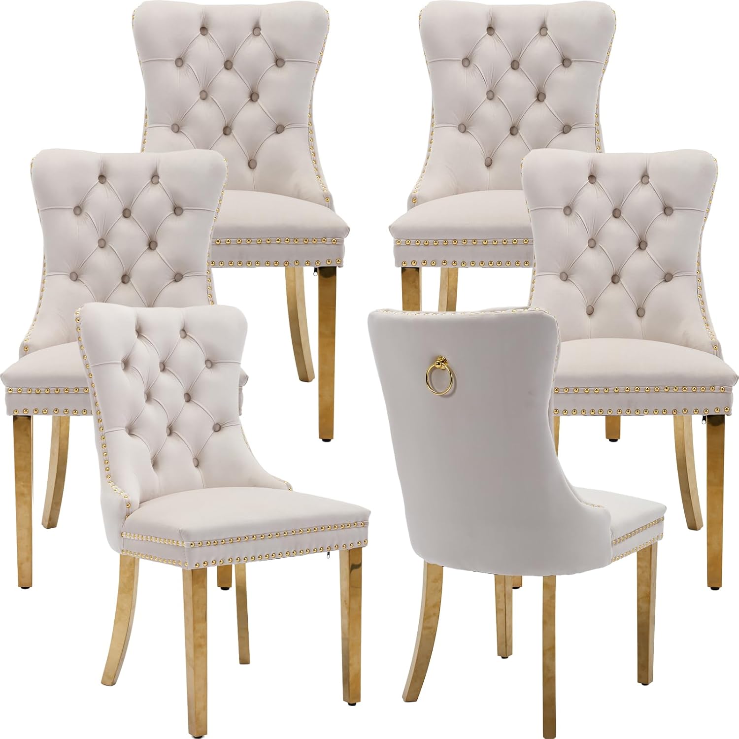 Velvet Dining Chairs Set of 6 for Kitchen & Dining Room Use
