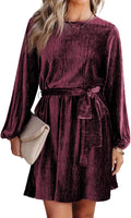 Women's Velvet Lantern Sleeve A-Line Dress - Chic Cocktail Skater
