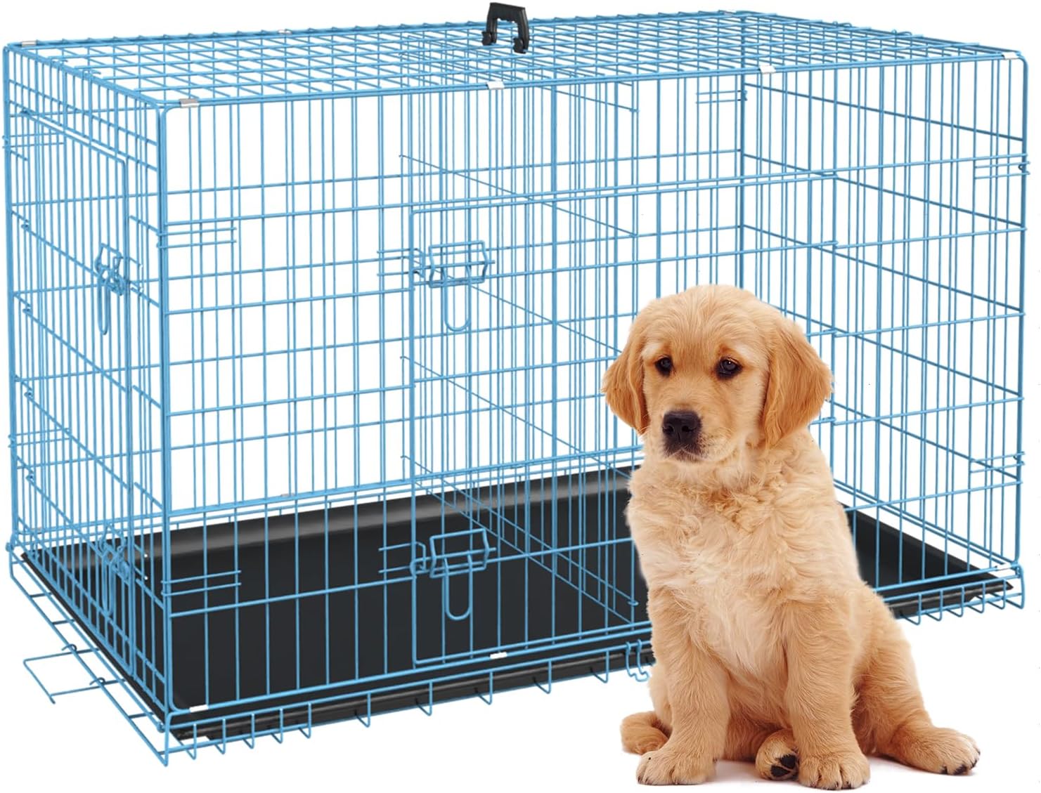 BestPet Dog Crate 24in Blue Foldable Metal Kennel for Travel