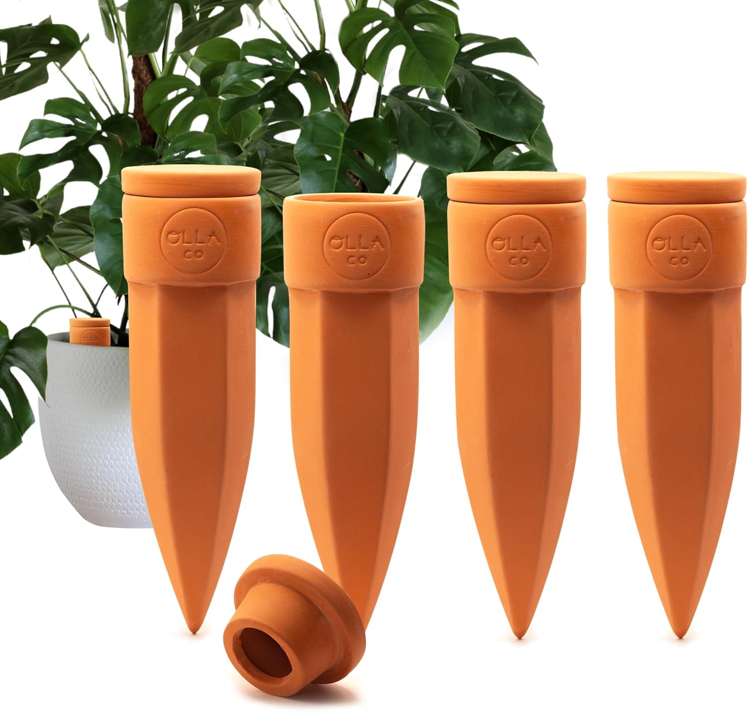 Plant Watering Spikes with Lids for 8-12 Pots - Set of 4