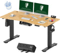 Flexispot EN2 Whole-Piece Bamboo Standing Desk 55 x 28 - Smooth