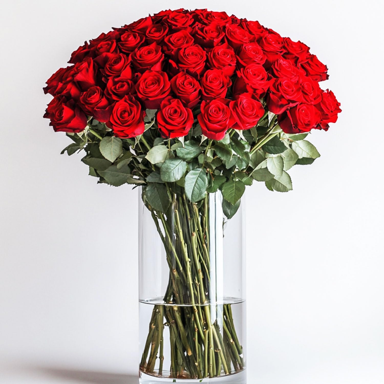 GlobalRose Real Fresh Cut Red Roses - Perfect for Any Occasion