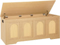 DINZI LVJ Storage Chest 47.2in Rattan-Like Toy Box - Large Entryway