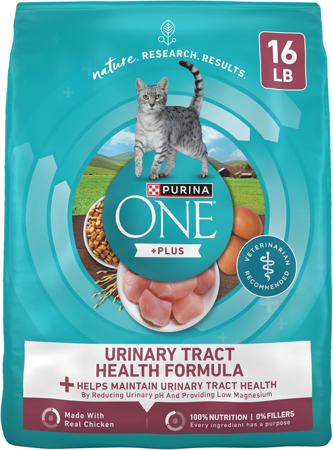 Purina ONE High Protein Dry Cat Food for Urinary Tract Health