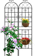 Rustic Iron Arch Garden Trellis 87x20in - Elegant Support for Climbers