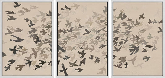 MUDECOR Framed Wall Art Set with Minimalist Bird Illustrations