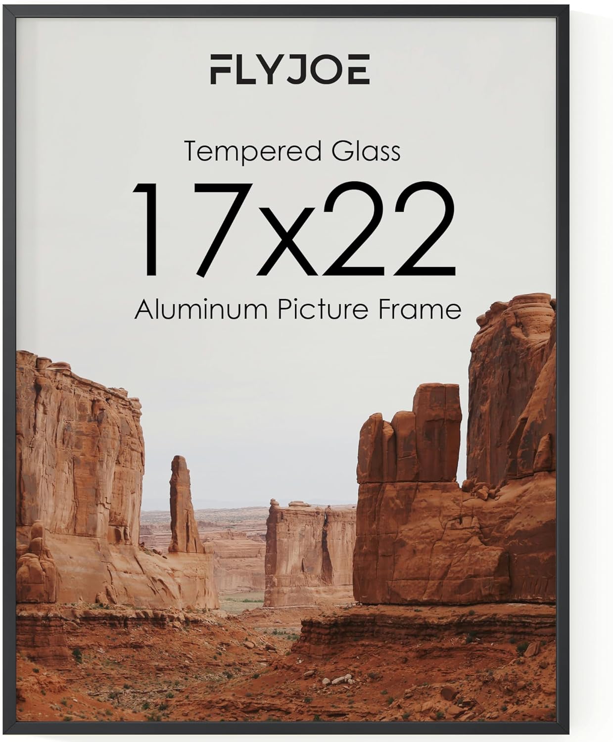 17x22 Metal Picture Frame for Stunning Wall Displays